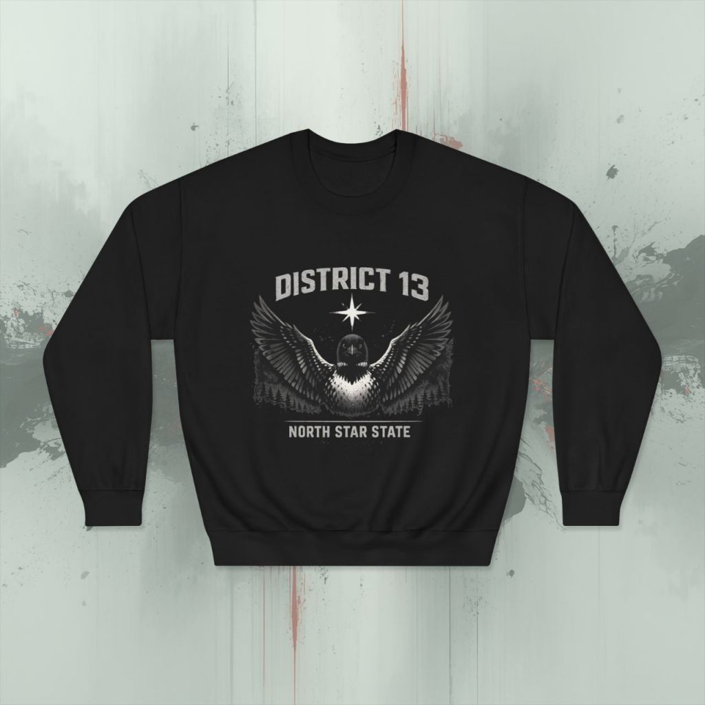District 13