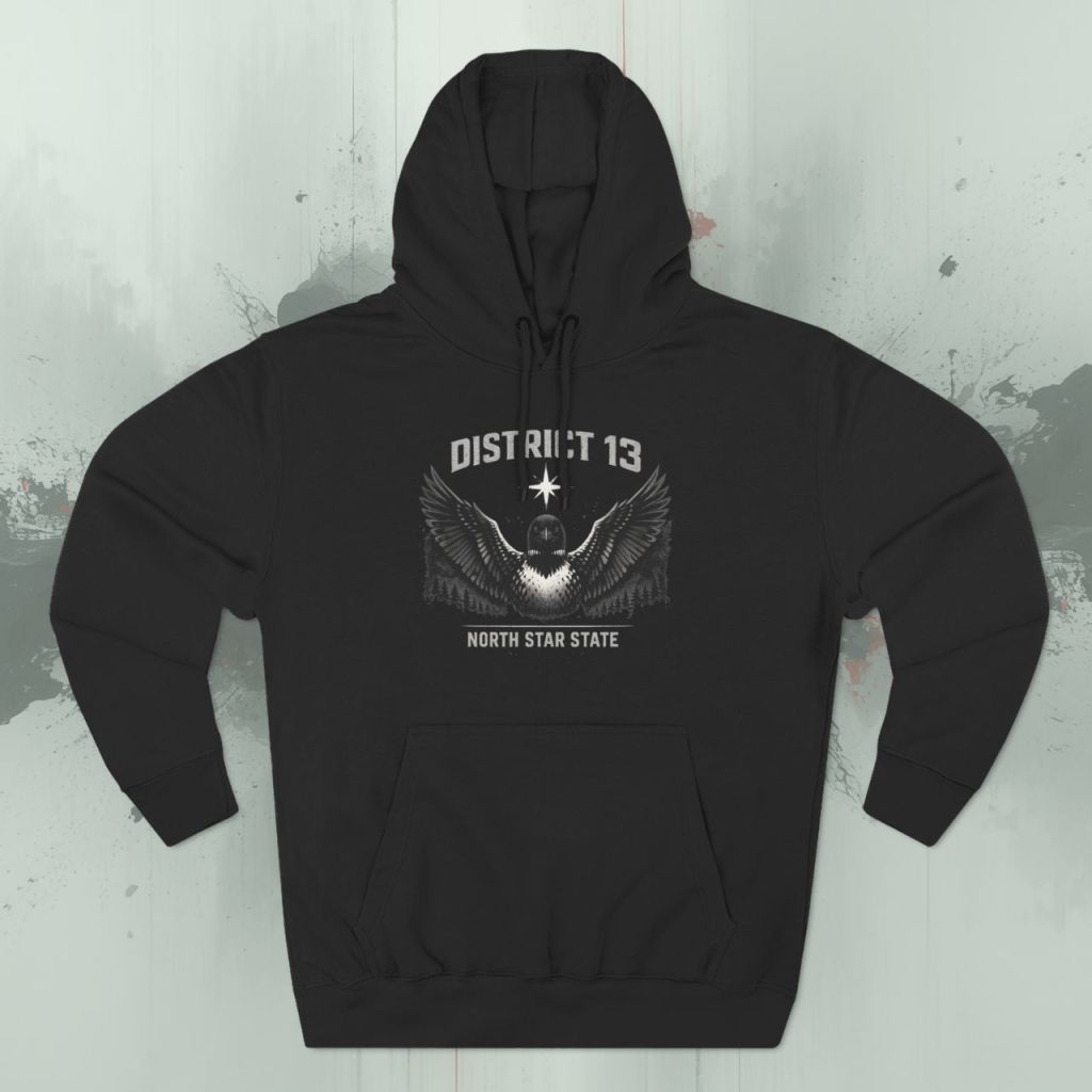 District 13